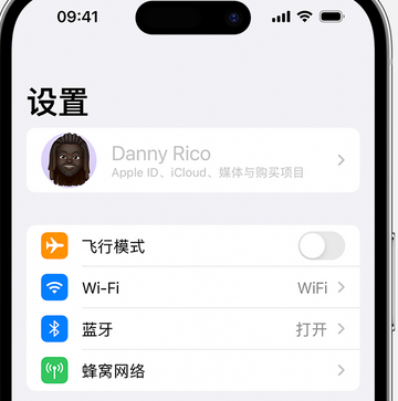 陈巴尔虎appleID维修服务iPhone设置中Apple ID显示为灰色无法使用 