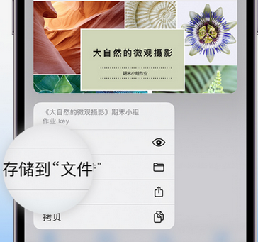 陈巴尔虎apple维修中心分享iPhone文件应用中存储和找到下载文件