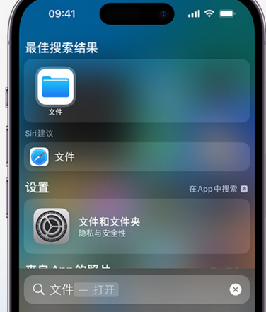 陈巴尔虎apple维修中心分享iPhone文件应用中存储和找到下载文件