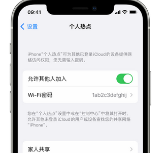 陈巴尔虎apple服务站点分享iPhone上个人热点丢失了怎么办