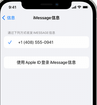 陈巴尔虎apple维修iPhone上无法正常发送iMessage信息 