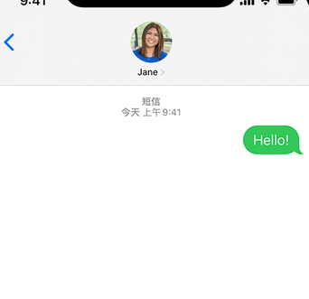 陈巴尔虎apple维修iPhone上无法正常发送iMessage信息