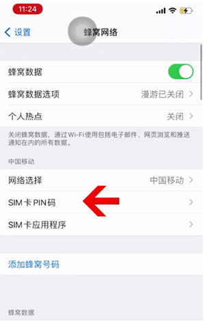 陈巴尔虎苹果14维修网分享如何给iPhone14的SIM卡设置密码 