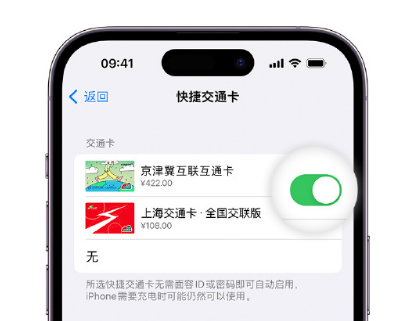 陈巴尔虎apple维修点分享iPhone上更换Apple Pay快捷交通卡手绘卡面 