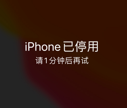 陈巴尔虎苹果手机维修分享:iPhone 显示“不可用”或“已停用”怎么办？还能保留数据吗？ 