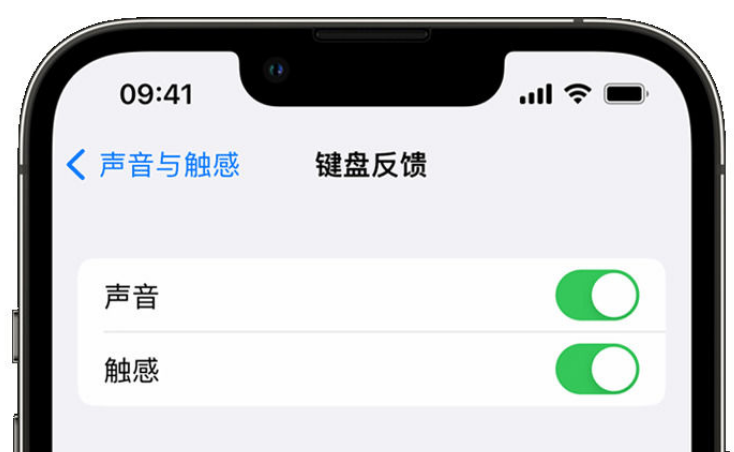 陈巴尔虎苹果手机维修分享iPhone 14触感键盘使用方法 