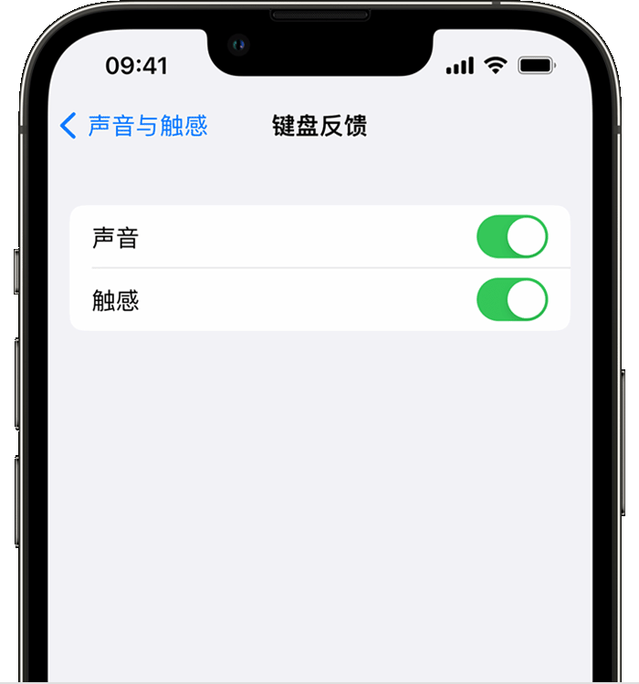 陈巴尔虎苹果14维修店分享如何在 iPhone 14 机型中使用触感键盘 