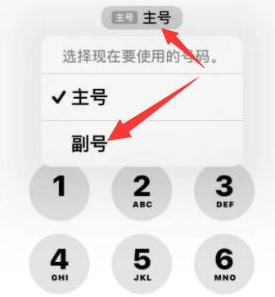 陈巴尔虎苹果14维修店分享iPhone 14 Pro Max使用副卡打电话的方法 