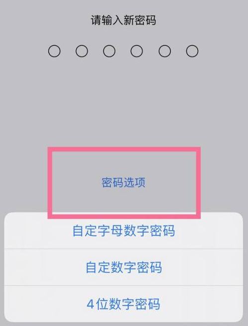 陈巴尔虎苹果14维修分享iPhone 14plus设置密码的方法 