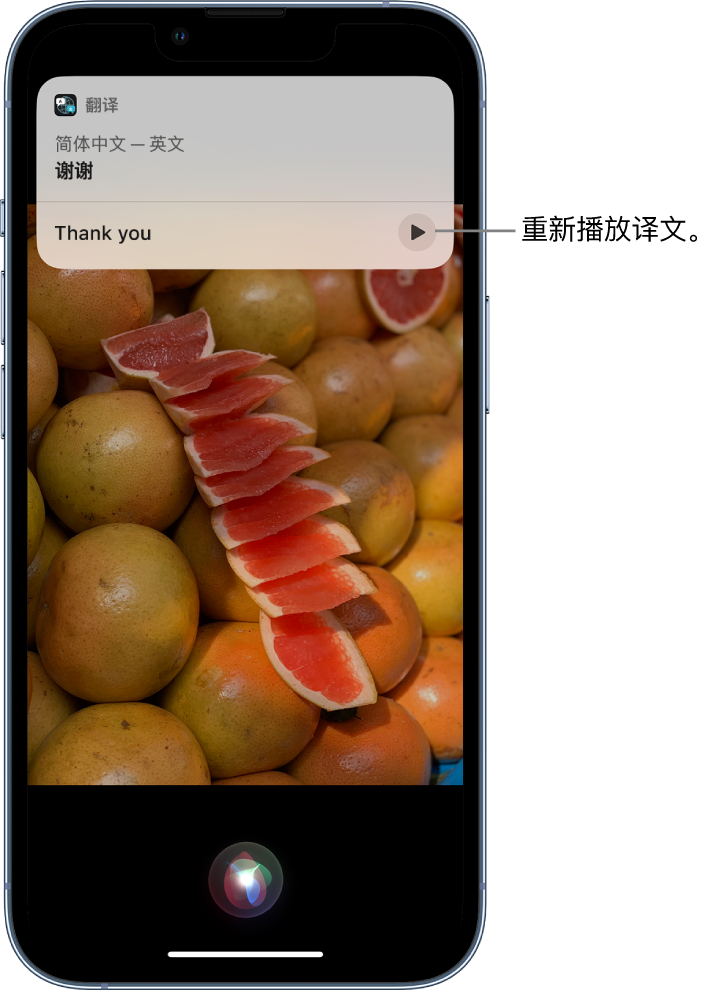 陈巴尔虎苹果14维修分享 iPhone 14 机型中使用 Siri：了解 Siri 能帮你做什么 