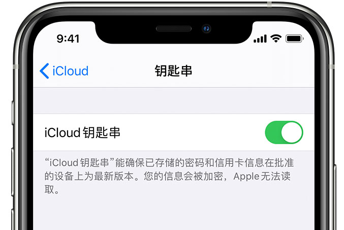 陈巴尔虎苹果手机维修分享在 iPhone 上开启 iCloud 钥匙串之后会储存哪些信息 