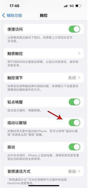 陈巴尔虎苹果手机维修分享iPhone手机如何设置摇一摇删除文字 