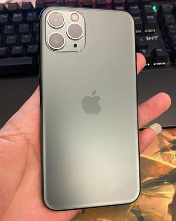 陈巴尔虎苹果维修点分享iPhone 11 Pro黑屏小众故障解析 
