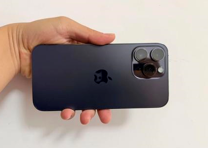 陈巴尔虎苹果维修点分享iPhone 14 Pro Max黑屏少见故障盘点 